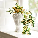 דירה Str8bs8 Banksy 2-bedroom Apartment, Clifton, Parking & Garden *