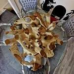 Str8bs8 Banksy 2-bedroom Apartment, Clifton, Parking & Garden *