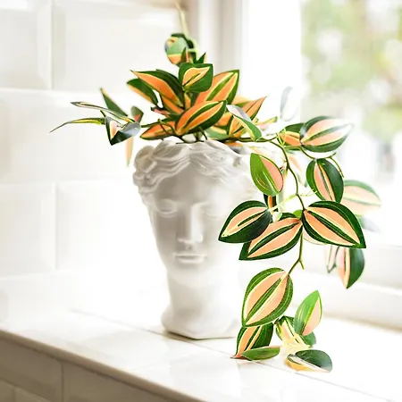 Apartmán Stylish Clifton Flat, Permit Parking X1, Garden & Picnic Area *