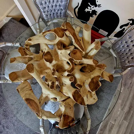 Stylish Clifton Flat, Permit Parking X1, Garden & Picnic Area *